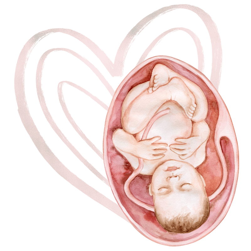 Home birth